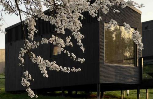-50% модульный дом "Nomad Houses" на Браславских озерах